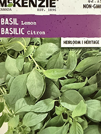 Basil - Lemon